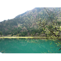 九賽溝の湖の写真