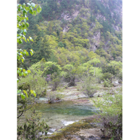 中国・チベット・九賽溝・世界遺産〜草木と水のある風景写真素材(1)