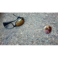 道路に落ちているレンズが外れたサングラスの写真