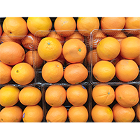 売り場に並ぶオレンジの写真素材