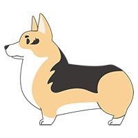 犬 ダックスフンド のイラスト素材 3 画像衆 デザインを簡単レベルアップ 写真 模様 イラストのダウンロードサイト