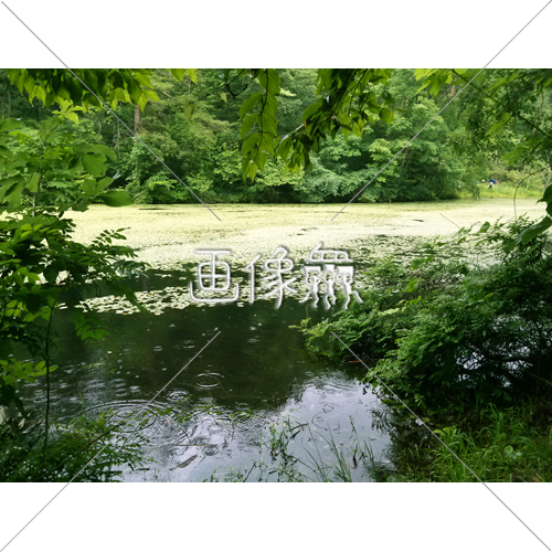 森の湖の 2 写真 画像衆 デザインを簡単レベルアップ 写真 模様 イラストのダウンロードサイト