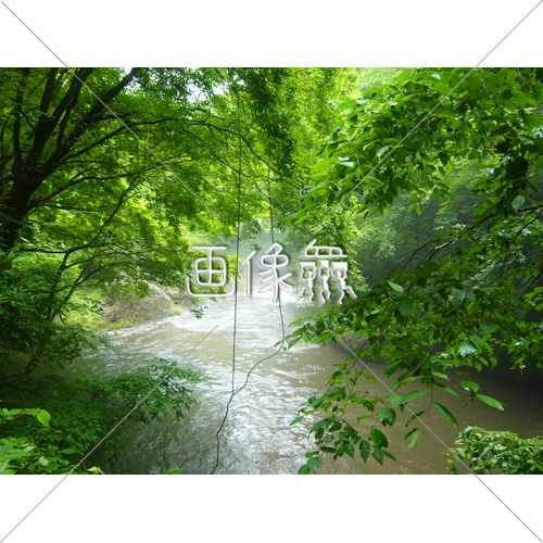 森の川の 1 写真 画像衆 デザインを簡単レベルアップ 写真 模様 イラストのダウンロードサイト