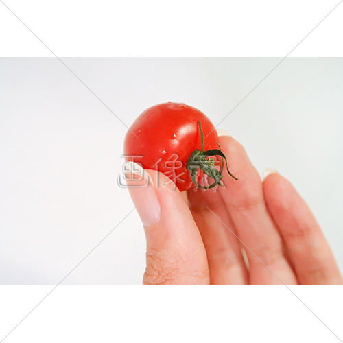 指でつまんでいるミニトマトの写真素材 画像衆 デザインを簡単
