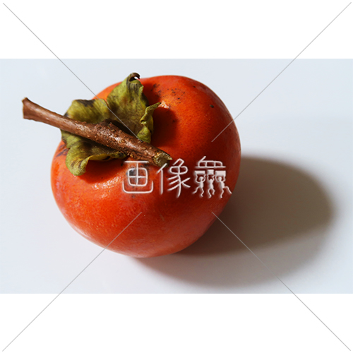 よく熟した枝付きの柿の写真素材 画像衆 デザインを簡単レベルアップ 写真 模様 イラストのダウンロードサイト