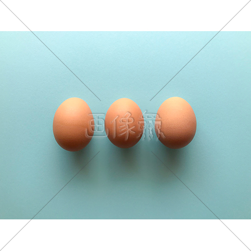 3つ並んだ茶色の卵の写真素材 2 画像衆 デザインを簡単レベルアップ 写真 模様 イラストのダウンロードサイト