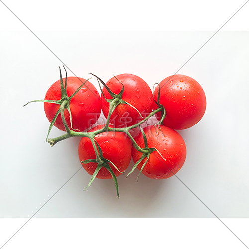 房付きトマトの写真素材 画像衆 デザインを簡単レベルアップ 写真 模様 イラストのダウンロードサイト