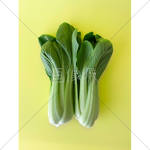 中国野菜のチンゲン菜の写真素材 2 画像衆 デザインを簡単レベルアップ 写真 模様 イラストのダウンロードサイト